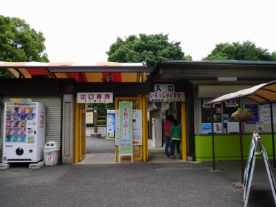 狭山市智光山公園こども動物園の写真34