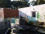 狭山市智光山公園こども動物園の写真のサムネイル写真40