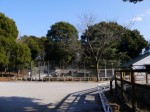 狭山市智光山公園こども動物園の写真のサムネイル写真42