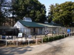 狭山市智光山公園こども動物園の写真のサムネイル写真45