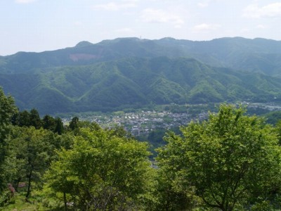 宝登山の写真4