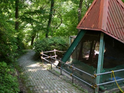 宝登山小動物公園の写真8