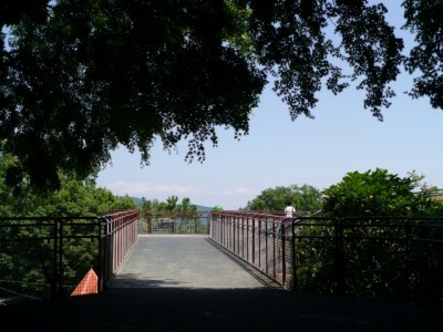 宝登山小動物公園の写真10