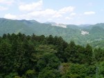 宝登山小動物公園の写真のサムネイル写真15