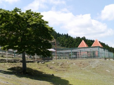 宝登山小動物公園の写真20