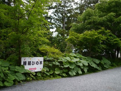 三峯神社の写真11