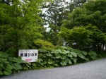三峯神社の写真のサムネイル写真11