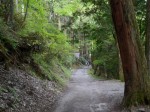 三峯神社の写真のサムネイル写真16