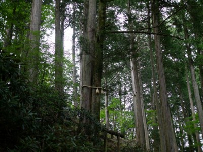 三峯神社の写真18