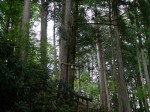 三峯神社の写真のサムネイル写真18