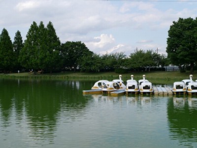 川越水上公園の写真8