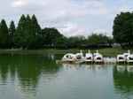 川越水上公園の写真のサムネイル写真8