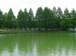 川越水上公園の写真のサムネイル写真10
