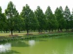 川越水上公園の写真のサムネイル写真11