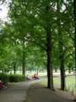 川越水上公園の写真のサムネイル写真12