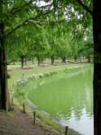 川越水上公園の写真のサムネイル写真13
