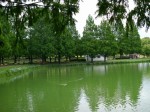 川越水上公園の写真のサムネイル写真14