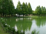 川越水上公園の写真のサムネイル写真15