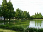 川越水上公園の写真のサムネイル写真17