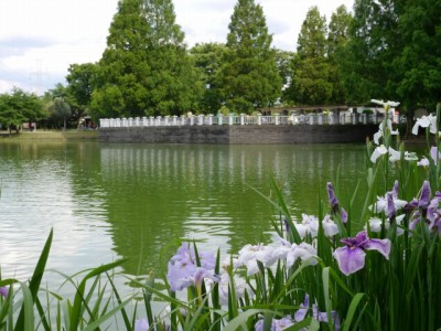 川越水上公園の写真18