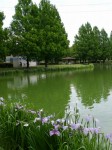 川越水上公園の写真のサムネイル写真20