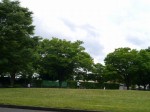 川越水上公園の写真のサムネイル写真22