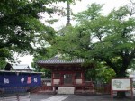 喜多院（川越大師）の写真のサムネイル写真4