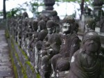 喜多院（川越大師）の写真のサムネイル写真29