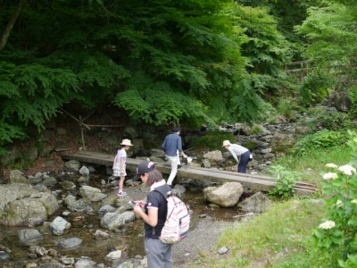 日本の里の写真4