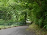日本水の森の写真のサムネイル写真2