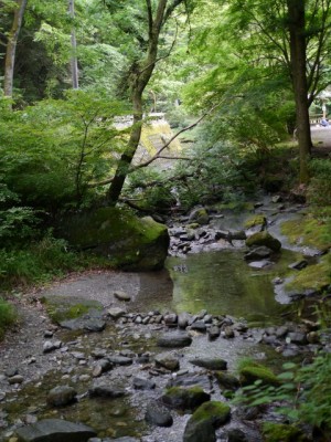 日本水の森の写真4