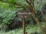 日本水の森の写真のサムネイル写真5