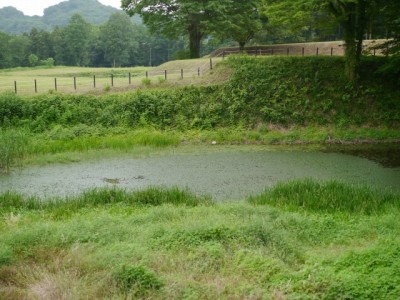 鉢形城公園の写真30