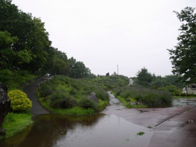 しらさぎ公園（ラベンダー山）の写真5