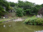 しらさぎ公園（ラベンダー山）の写真のサムネイル写真13