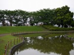 しらさぎ公園（ラベンダー山）の写真のサムネイル写真14