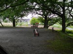 しらさぎ公園（ラベンダー山）の写真のサムネイル写真22