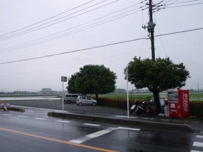 菖蒲城趾あやめ園の写真14