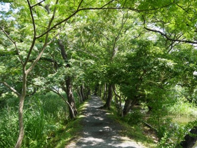 浮野の里の写真10