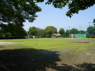 城山公園（騎西城）の写真2