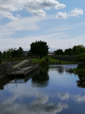 騎西総合公園の写真11