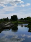 騎西総合公園の写真のサムネイル写真11