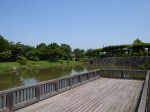 騎西総合公園の写真のサムネイル写真24