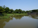 騎西総合公園の写真のサムネイル写真25