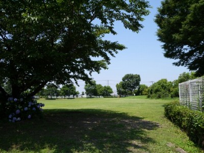 騎西総合公園の写真31