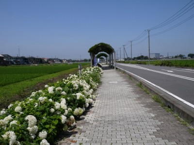 騎西総合公園の写真39