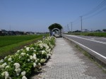 騎西総合公園の写真のサムネイル写真39