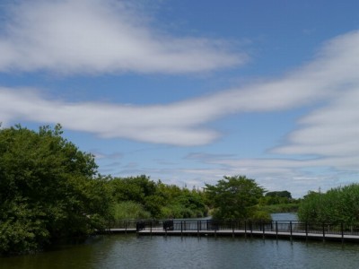 まつぶし緑の丘公園の写真22