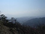 宝登山梅百花園の写真のサムネイル写真2