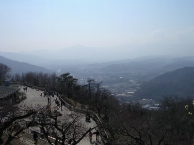宝登山梅百花園の写真4